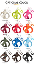 Load image into Gallery viewer, Reflective Outdoor Walking Harness Set
