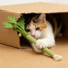Load image into Gallery viewer, Cat Chew Toys Catnip Cat Teeth Cleaning Toy Interactive Self Playing Catnip Molar Stick Toys Bite Squeaky Cat Toy
