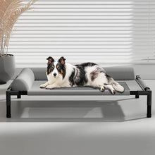 Load image into Gallery viewer, Pet Furniture Mesh Elevated Dog Beds Breathable Removable Raised Dog Bed with Pillow Outside Dog Bed Cat Patio Sunbathing

