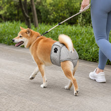 Load image into Gallery viewer, Pet Physiological Pants Female Dog Anti‑Dirty Anti‑Harassment Sanitary Pants Comfortable Breathable Teddy Bichon Universal
