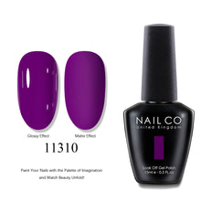 Load image into Gallery viewer, NAILCO 2025 Hot 15ML Gel Nail Polish Nails Semi-permanent UV Varnish High Quality Glass Bottle Nail Art Polish For Manicure

