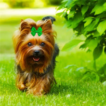 Load image into Gallery viewer, Pet Bows Dog Accessories Small Dog Hair Clips Pet Grooming Products Cat Hairpin Teddy Chihuahua Pets Supplies
