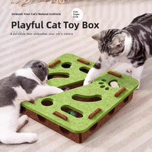 Load image into Gallery viewer, Cat Puzzle Toy Felt Puzzle Box Cat Exercise Toy With Ball Indoor Sports Entertainment Hunting Cat Toys For Indoor Cats
