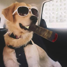 Load image into Gallery viewer, Funny Interactive Dog Toys Cigar Design Plush Squeaky Pet Toys Grinding Teeth Creative Chew Cool Stuffed Gifts for Dog Birthday
