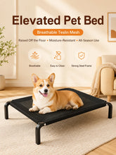 Load image into Gallery viewer, Elevated Pet Bed for Dogs, Washable Dog Bed for Small, Medium, Large &amp; XL Puppies, Breathable Mesh Dog Bed
