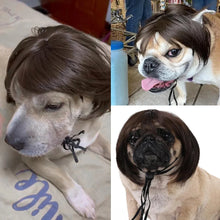 Load image into Gallery viewer, Pet Wigs Cosplay Props Dog Cat Cross-Dressing Hair Set Photography Funny Props Head Accessories Prank Pet Supplies Costumes DIY
