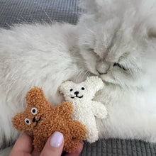 Load image into Gallery viewer, Pet Cat Mint Doll Plush Dog Toy Teddy Toy Pomerian Dog Accessories Dog Toys for Small Dogs Puppy Toys
