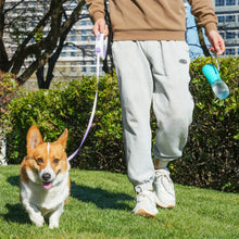 Load image into Gallery viewer, Pet Dog Water Bottle 300ML Puppy Drinking Bowls For Small Medium Dogs Cats Hiking Portable Cat Feeder Golden Retriever Supplies
