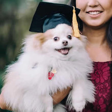 Load image into Gallery viewer, Graduation Hat Pet Accessory Adjustable Pet Graduation Cap For Puppy Kitten Pet Birthday Dress Up Props
