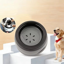 Load image into Gallery viewer, Gray Blue Floating Water Feeder
