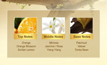 Load image into Gallery viewer, Moroccan Nourishing Hair Repair Oil
