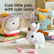 Load image into Gallery viewer, New Children's Simulation of Electric Plush Animal Toys, Play House Gifts for Boys and Girls with Sound Pet Toy Sets with Cages！

