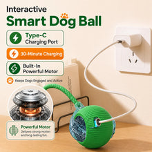 Load image into Gallery viewer, Smart Automatic Rolling Dog Ball
