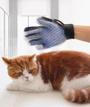 Load image into Gallery viewer, Textured Shedding Bathing Mitt
