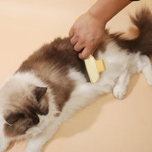 Load image into Gallery viewer, Pet Cat Comb Cat and Dog Hair Removal Brush Cleaning Hair Cleaner Beauty Cleaning Supplies Cat and Dog Universal Pet Supplies
