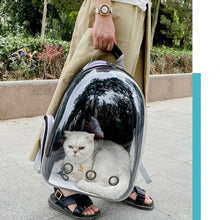 Load image into Gallery viewer, Pet Cat Carrying Bag Space Pet Backpacks Breathable Portable Transparent Backpack Puppy Dog Transport Carrier Space Capsule Bags
