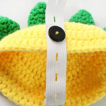 Load image into Gallery viewer, Cartoon Turtle Knitted Pet Sweater

