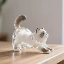 Load image into Gallery viewer, New Cat Hair Storage Keychain Bag Pendant Transparent Pet Fur Keepsake Capsule Souvenir Collection Gift Decoration Accessories
