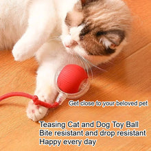 Load image into Gallery viewer, Durable Pet Toys for Dogs And Cats - Teaser Ball with Rope Jumping Ball Thud Toy for Self-Entertainment Pet Supplies
