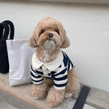 Load image into Gallery viewer, Striped Pet Shirt Soft Pullover Outfit Suitable For Puppy Dogs Cats Schnauzers Pomeranians Daily Casual Pet Apparel
