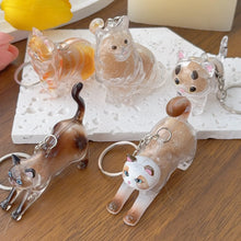 Load image into Gallery viewer, New Cat Hair Storage Keychain Bag Pendant Transparent Pet Fur Keepsake Capsule Souvenir Collection Gift Decoration Accessories
