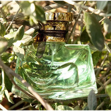 Load image into Gallery viewer, Beloved Perfume, Elegant Charm Perfume,romantic Floral Scent Body Spray, Long-lasting Classic Charming Light Fragrance Spray
