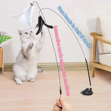 Load image into Gallery viewer, Interactive Cat Toy Handfree Cat Stick Kitten Playing Teaser Wand Toy Suction Cup Feather Wand Pet Supplies Simulation Feather
