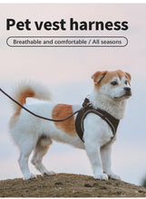 Load image into Gallery viewer, Reflective Outdoor Walking Harness Set

