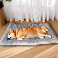 Load image into Gallery viewer, Thickened Super Soft Plush Sofa Bed
