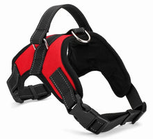 Load image into Gallery viewer, Quick Release Breathable Puppy Harness
