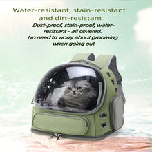 Load image into Gallery viewer, Transparent Pet Carrier Backpack Outdoor Travel Essential for Cats Small Dogs Breathable Design Comfortable Premium Pet Supplies
