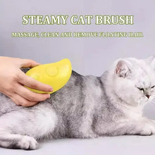 Load image into Gallery viewer, Cat Dog Steamy Brush Steam Brush Electric Sprayer for Massage Pet Grooming Tool Shedding 3 in 1 Electric Sprays Massage Combs
