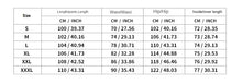 Load image into Gallery viewer, 2025 New Jogger Trousers Thin Pants Men's Spring/Summer Loose Straight Leg Sports Casual Pants American Oversize Long Leg Pants
