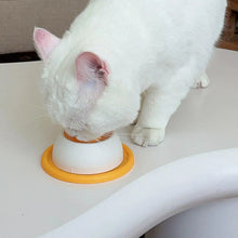 Load image into Gallery viewer, Pet Feeding Accessories Dog Treat Toy Puzzle Toys For Bored Puppy Slow Feeder Puppy Supplies For Healthy Eating Food Crate
