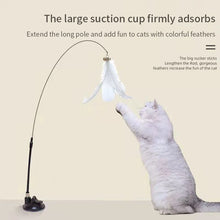 Load image into Gallery viewer, Interactive Cat Toy Handfree Cat Stick Playing Kitten Playing Teaser Wand Toy Suction Cup Bird/Feather Cat Wand Pet Supplies
