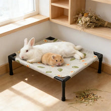 Load image into Gallery viewer, 1PC Elevated Pet Bed Raised Small Animal Bed Breathable Washable Cooling Sleep Mat for Rabbit Hamster Cat Puppy Indoor Bed House
