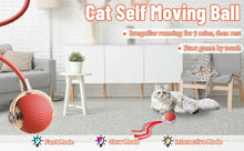 Load image into Gallery viewer, iLMH 1/2 PCS Cat Interactive Ball Toy Automatic Rolling Ball Faux Tail Rechargeable Smart Pet Electric Toy Pet Toy Imitate Mouse
