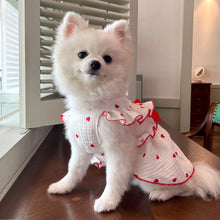 Load image into Gallery viewer, Sweet Cotton Pet Skirt Dress

