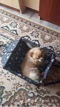 Load image into Gallery viewer, Pet Dog Car Carrier Seat Bag Waterproof Basket Folding Hammock Pet Carriers Bag For Small Cat Dogs Safety Travelling Mesh
