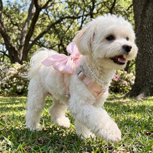 Load image into Gallery viewer, Pet Accessories Adjustable Pet Harness Cute Bow Breathable Dog Chest Strap Escape-Proof Comfort Cat Leash for Dogs Puppy Rabbit
