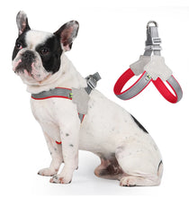 Load image into Gallery viewer, Reflective Pet Dog Harness For Small Medium Dogs Cat No Pull Vest Harnesses Puppy Chest Strap Pug Chihuahua Bulldog Supplies
