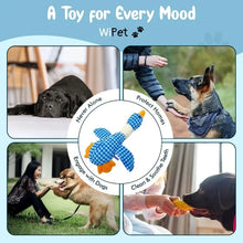 Load image into Gallery viewer, Cat Dog Toys for Aggressive Chewers Cats Dogs,Chew Squeak Toy Cats Dogs Interactive Plush Doll Pet Products
