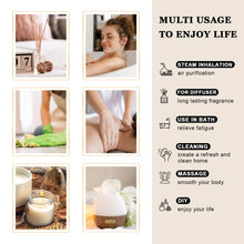 Load image into Gallery viewer, Plant Aromatherapy Essential Oil Blend
