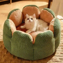 Load image into Gallery viewer, Petal Shaped Pet Bed, Plush Round Dog &amp; Cat Cushion Mat with Knitted Texture, Ultra Soft Warm Nest for Kittens Puppies in Winter
