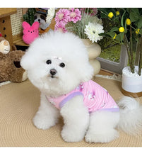 Load image into Gallery viewer, Spring pet apparel: cat &amp; dog clothing - cartoon 3d print, teddy style, cute &amp; breathable, anti-shedding, dropshipping available
