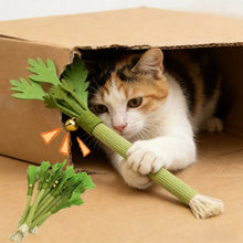 Load image into Gallery viewer, Cat Chew Toys Catnip Cat Teeth Cleaning Toy Interactive Self Playing Catnip Molar Stick Toys Bite Squeaky Cat Toy
