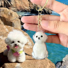 Load image into Gallery viewer, Transparent Cute Dog Pendant Keychain Creative Pet Hair Storage Capsule Hanging Ornament for Pet Lover DIY Pet Memorial Keychain
