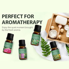 Load image into Gallery viewer, 36 Natural Aromatherapy Essential Oils
