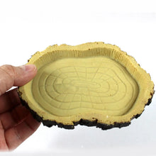 Load image into Gallery viewer, Pet Reptile Feeder Bowl Basin Resin Non-Toxic Food Water Pot Turtles Tortoise Scorpion Lizards Crabs for Pets Feeding Tray
