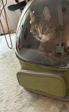 Load image into Gallery viewer, Transparent Pet Carrier Backpack Outdoor Travel Essential for Cats Small Dogs Breathable Design Comfortable Premium Pet Supplies
